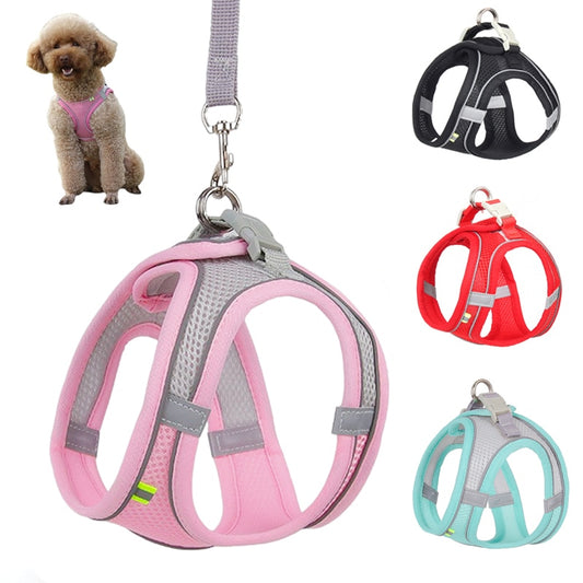 Harness Leash Set for Dogs, Various Sizes